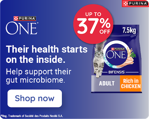 Purina One Cat